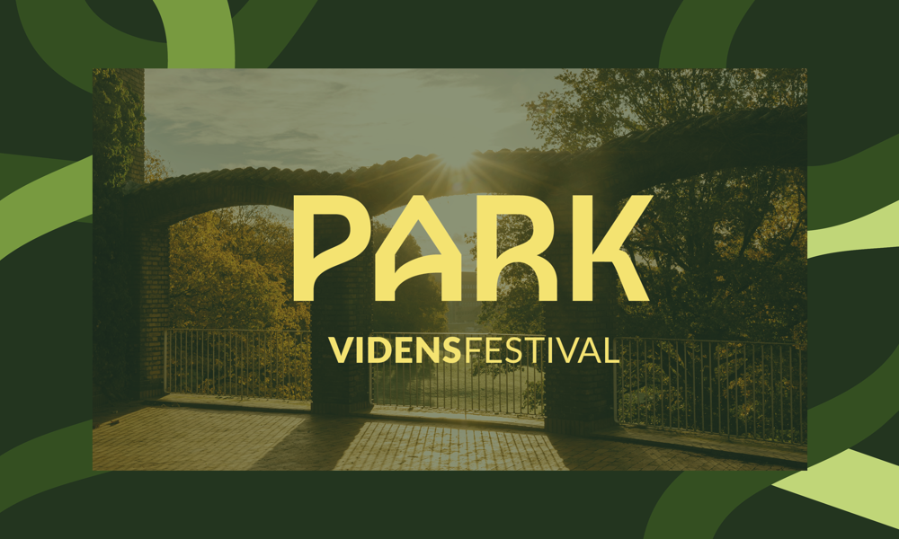 PARK (aften)