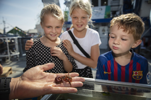 BØRNENES PARK Kend dit hav